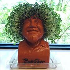 Bob Ross Chia Pet Bob Ross Cute Bob Haircuts Blunt Bob Hairstyles