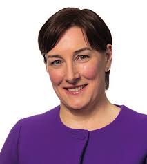 1 Fingal County Council Annual Report 2024 fingal .ie