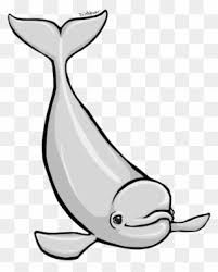 Such as png, jpg, animated gifs, pic art, logo, black and white, transparent, etc. Beluga Whale Clipart Cartoon Beluga Whale Free Transparent Png Clipart Images Download