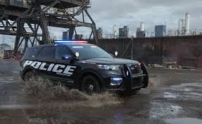 Image result for Arizona Beige 2021 Interceptor