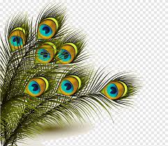 Inspired by popular influencers of art deco movements, the collection is designed with a soft, feminine colour palette and bold unique styles. Peacock Feather Feathers Background Peacock Feather Png Pngegg