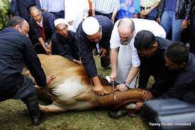 It honours the willingness of ibrahim (abraham) to sacrifice his son ismail (ishmael) as an act of obedience to god's command. Hari Raya Aidiladha