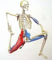 A weak or tight psoas can cause low back pain, hip neck pain, poor stability, stress, and various other issues. Pin On Psoas Release
