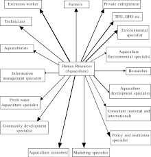 fig flowchart for the human resources in aquaculture