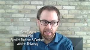 How bats can be the key to the next pandemic