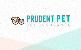 For example, nationwide may be the right choice if you have an exotic bird you'd like to cover, but trupanion is probably a better choice for insuring a new puppy. Best Pet Insurance Companies For 2021