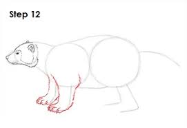 How to draw a wolverine. How To Draw A Wolverine
