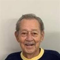 Mr. King Lui Zorzi Obituary (2022)