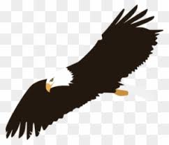 Bald eagle head logo logotype stock vector royalty free 328034759. Harpy Eagle Clipart Elang Harpy Eagle Clipart Elang Free Transparent Png Clipart Images Download