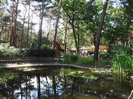 Die veränderungen in seiner umwelt sind gefährlich für ihn: Zoo Haus Natur Und Umwelt Aufnahme Von Fez Berlin Tripadvisor