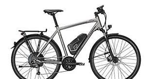 E Bike Raleigh Stoker X1 28 27g 11ah 36v 250w Herren In Smokesilver Matt Herrin