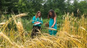 BEGAP: $1 million for physical damages to Ag operations