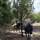 Trail Ride - Brockdale Trail Head