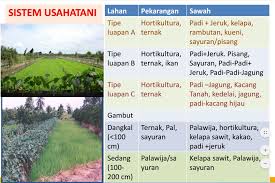 Badan usaha ditinjau dari lapangan usahanya dapat digolongkan menjadi lima jenis, yaitu yang bergerak di bidang ekstraktif, industri, agraris, perdagangan contohnya pertanian, perikanan darat, peternakan, dan perkebunan. Anti Ambyar Inilah Jenis Usaha Tani Cocok Untuk Rawa