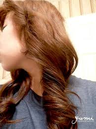 Clairol nice n' easy perfect 10 hair color. Chestnut Brown Hair Loreal Novocom Top