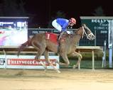 Uncaptured Storm named Claiming Horse of the Year - Kentucky ...