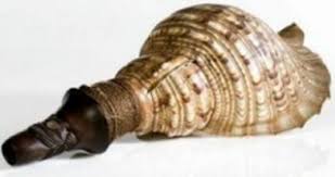 Suara alat musik berbahan bambu ini begitu merdu terdengar manakala ditiup oleh seorang seniman papua bernama rimba wabise, di stand pameran museum pada peringatan hari. Alat Musik Tradisional Papua Info Namina