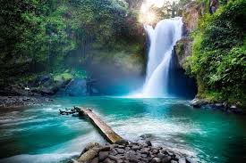 Gambar pemandangan air terjun dari beragam bentuk dan warnai berikut ini akan membawa kita berimajinasi. 12 Wisata Air Terjun Di Bali Yang Menyegarkan