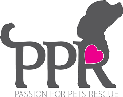 Maybe you would like to learn more about one of these? Pets For Adoption At Passion For Pets Rescue In Brunswick Me Petfinder