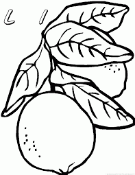 Check spelling or type a new query. Lemon Coloring Pages