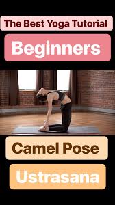The camel pose can be done whether a beginner or an advanced yogi. Pin On Y O G A