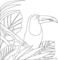 I really like bugs and insects so you can see those at the bottom of this page too. Medium Bird Coloring Pages Clipartfort Animals Birds Toucan Phoi9h Printable Coloring4free Coloring4free Com