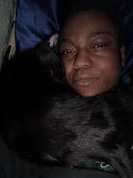 New Kitten Ocelot Helps Heal Broken Heart After Loss of Panther