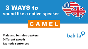 Female camels are called cows. Camel Translation In Hindi Bab La