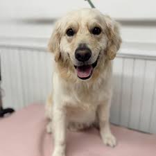 Myla and Remi, Gucci, Bobbie, Gary