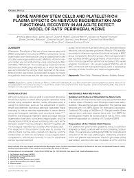 BonE MaRRoW STEM cELLS anD pLaTELET-RicH pLaSMa EFFEcTS