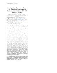 Preliminary results on the benthic invertebrates collected at loki's castle indicate the presence of an endemic fauna dominated. Https Goldschmidtabstracts Info 2019 2863 Pdf