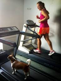 Out at ao 2021 on monday, and while venus williams and petra kvitova have one another in their sights, angelique kerber was an early casualty. Angelique Kerber No Twitter I Found A Friend To Do Fitness With Me Http T Co Cu0qi13ifb