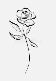 Browse our single stem rose images, graphics, and designs from +79.322 free vectors graphics. Flower Rose Sketch Painting Hand Drawing White Bud Petals Stem And Leaves Monochrome Black And White Illustration Stock Illustration Illustration Of Artwork Flourish 173948006