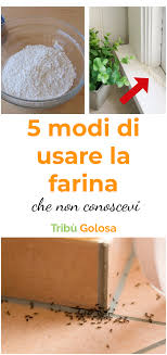 La Farina E Certamente Un Ingrediente Fondamentale Nella Nostra Cucina Base Di Tantissime Ricette Eppure Eri Al Corrente Del F Farina Rimedi Naturali Rimedi