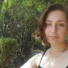 The Push-Up Challenge