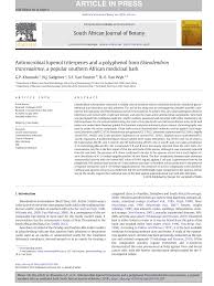 Image result for Elaeodendron matabelicum