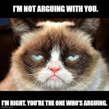Grumpy Cat Not Amused Meme Imgflip