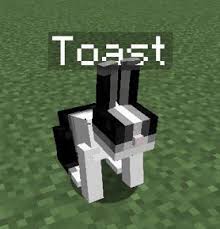 Rabbits are somewhat sporadic in their movements and attention spans. Rabbit Minecraft The Y Guide