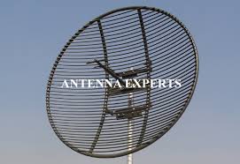 Image result for antena grillada