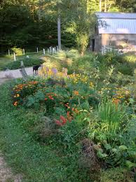 When should i plant my vegetable garden in massachusetts. Mixing It Up Can Edibles And Ornamentals Get Along In A Designed Garden Ecological Landscape Alliance