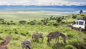 Image result for ngorongoro crater safaris and camps