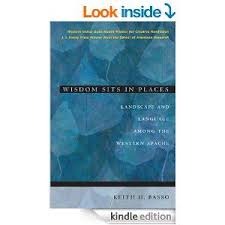 Pin By Navajo County Library District On Books About The Apache Wisdom Language Understanding