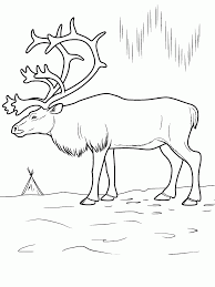 Free printable arctic polar animals to color and use for crafts and animal learning activities. Arctic Coloring Page Coloring Home