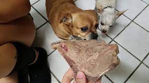 But as a general rule, ensure your dog doesn't eat bones smaller than its muzzle length. Cooking 32oz T Bone Steaks For The Dogs Youtube