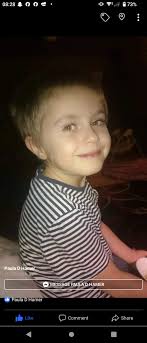 Hi all! I just wanted to introduce myself and share a photo I took. Baji  who is in heaven and Chica