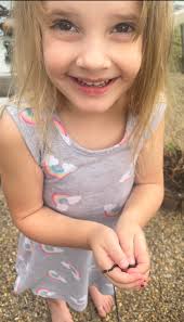 Thank you for the education