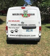 The player must prevent pests such as ants, beetles, flies, grasshoppers, spiders, mice and scorpions from entering. Wildlife X Team Tulsa Fast And Effective Wildlife Removal And Control