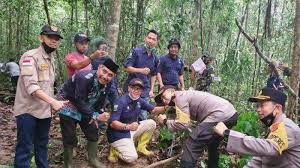 Wana wisata rahong area wisata alam singkur yang jadi tempat persinggahan pemain rafting di selanjutnya adalah wisata alam singkur. Kphp Limau Sebut Jumlah Hanya 11 Dari 20 Hutan Adat Di Sarolangun Dapat Sk Kementerian Kehutanan
