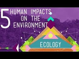 Pin By Tina Johnston On Science For Secondary Grades Biology Chemistry Physics And More Life Science Lessons Ap Environmental Science Science Lessons