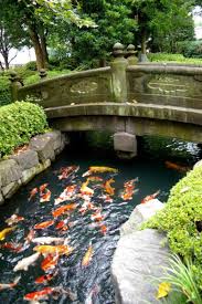 Pin By Mlynn Childress On Craft Ideas Japanese Garden Koi Pond Koi